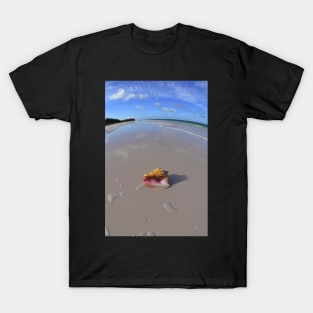 Conch Shell On The Beach in the Bahamas T-Shirt